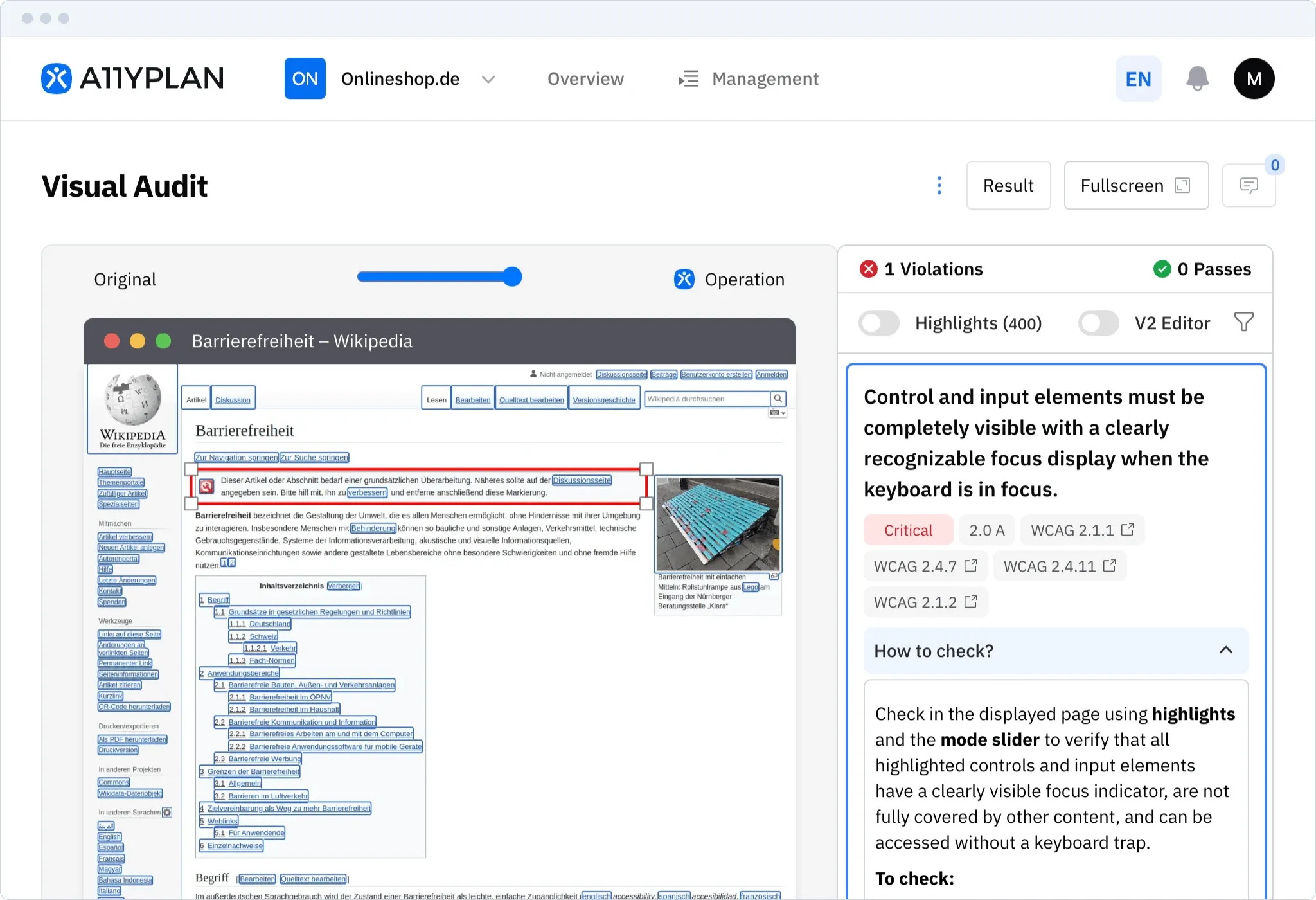 Visual Audit Screenshot
